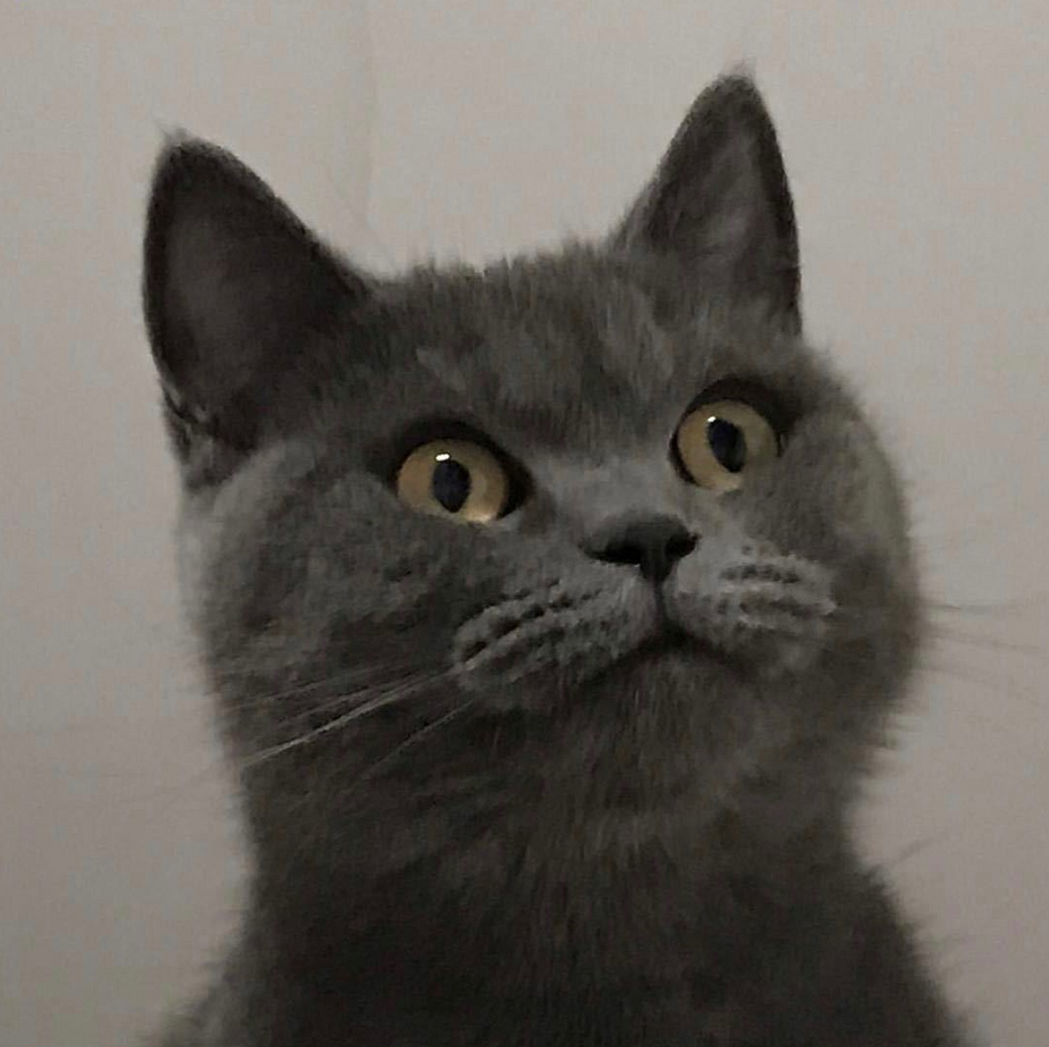 愤怒的油条的个人主页（背景预览） - 主页背景设置 - 站酷设计师愤怒的油条原创素材 - 站酷ZCOOL