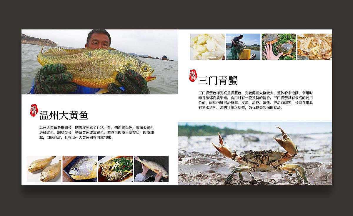 农产品 产品手册设计【农创客发展中心】