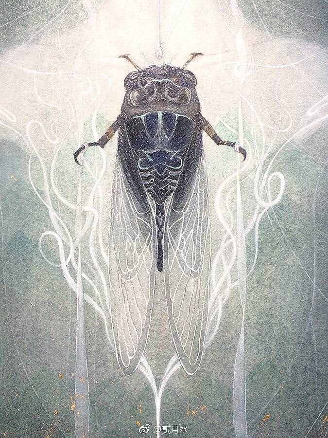 蝉系列左视阴右视阳夏生秋亡