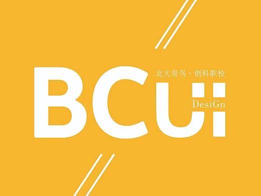 北大青鸟学校优秀学员作品集​