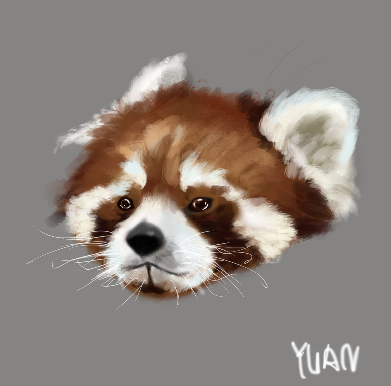 自学插画练习（图ZMzU4ODgyNTI=） - 商业插画 - 站酷设计师摄物记原创素材 - 站酷ZCOOL