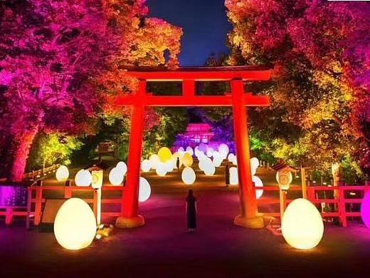 景区户外亮化不倒翁蛋装饰灯 户外led奇异造型装饰灯具