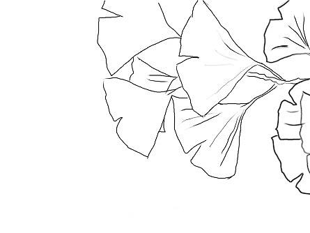 插画线稿练习（个人主页-ZNTg0NDYyNzI=） - 其他平面 - 站酷设计师Z76478145原创素材 - 站酷ZCOOL