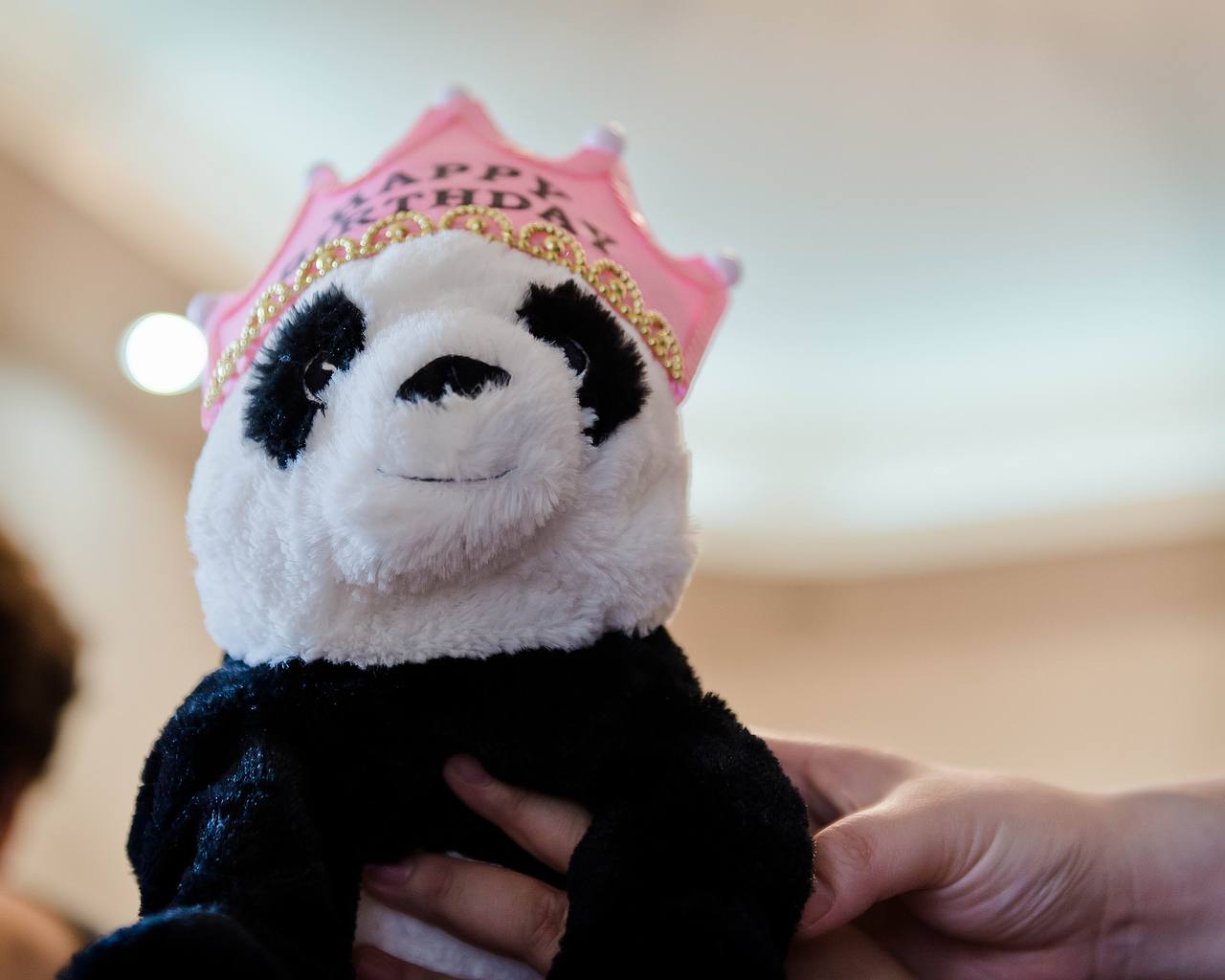 小宝鸡的周岁纪念