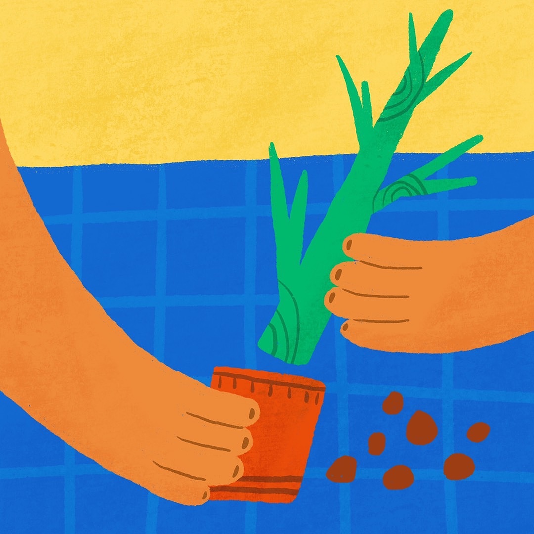 无字绘本《拯救小树》