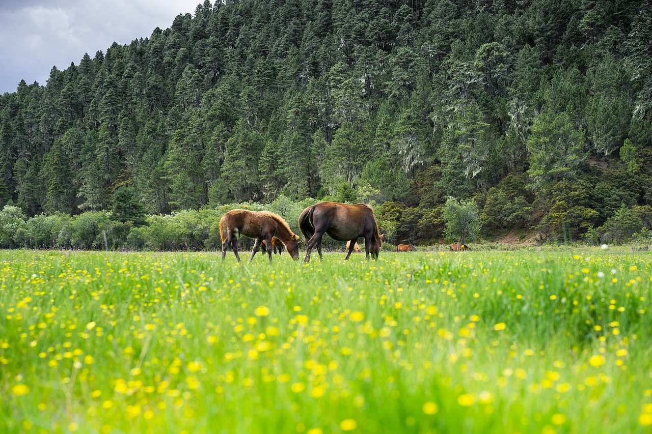 云南大山（图ZMzM2MzI5MDQ=） - 风光摄影 - 站酷设计师ljkund原创素材 - 站酷ZCOOL