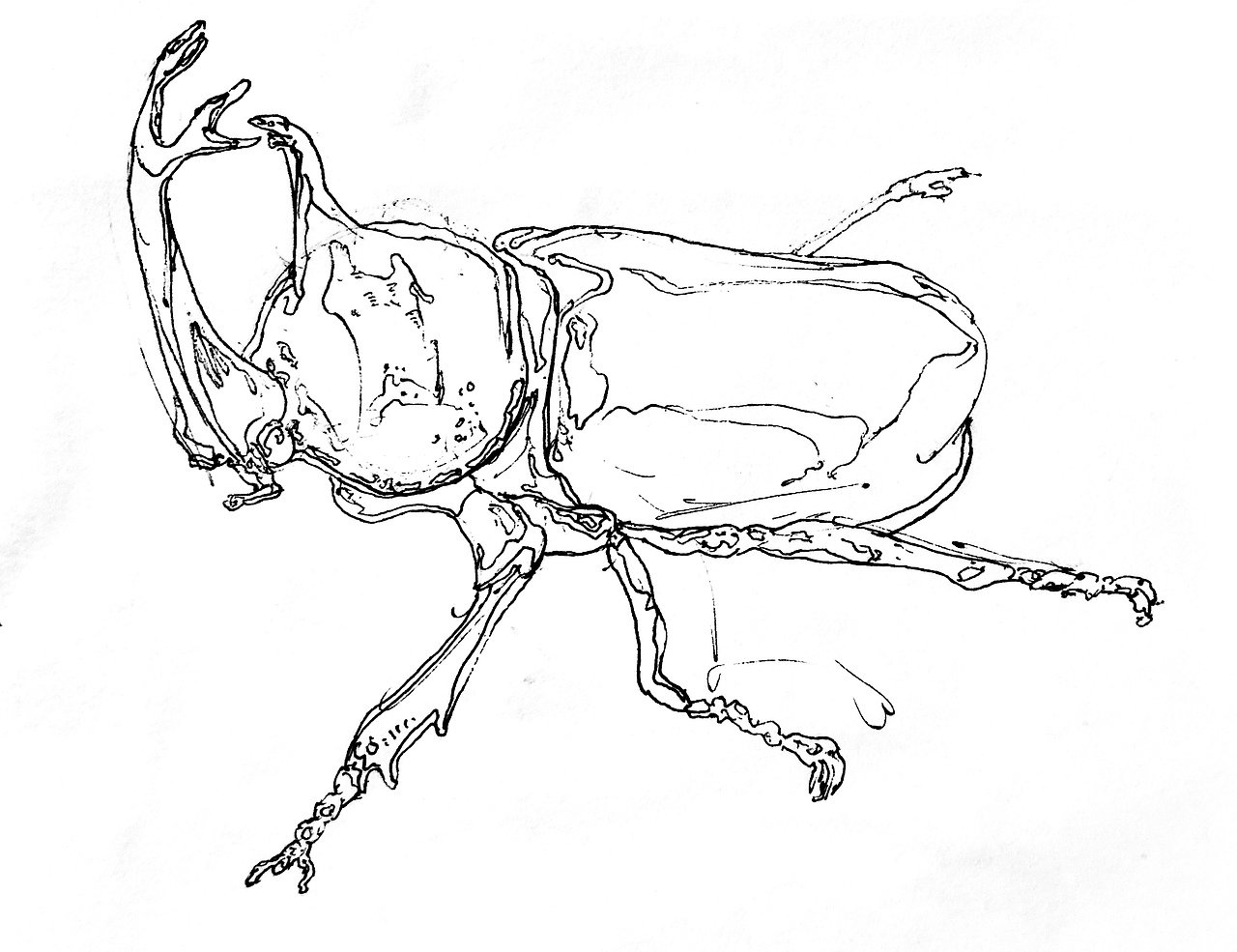 线稿（图ZMTk4MTI4OTcy） - 图案 - 站酷设计师祥明原创素材 - 站酷ZCOOL