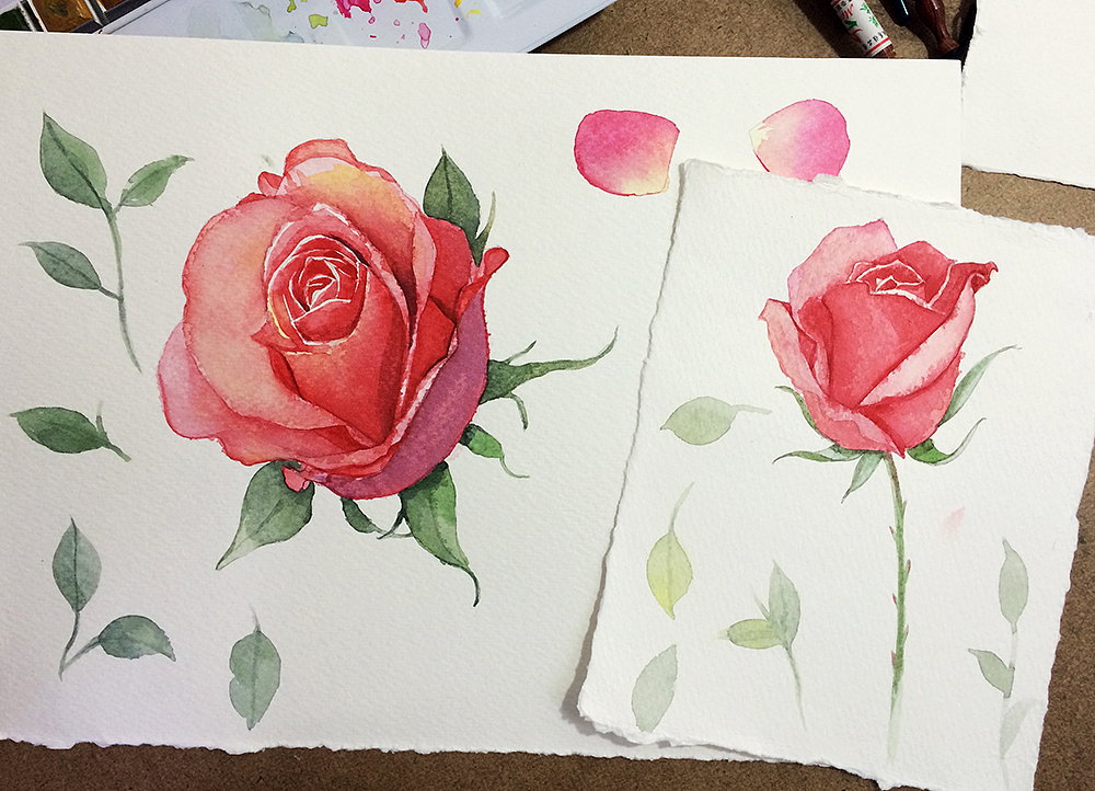 水彩手绘玫瑰花