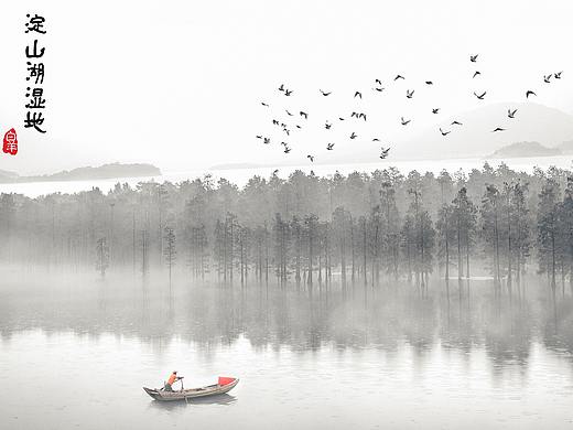淀山湖湿地