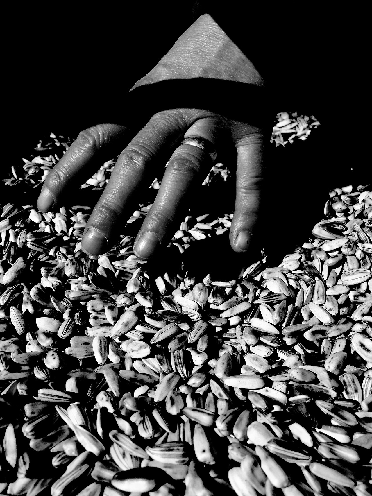 故乡（图ZMzExMjE5NjQ=） - 风光摄影 - 站酷设计师王粤飞设计原创素材 - 站酷ZCOOL