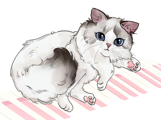 布偶猫插画定制