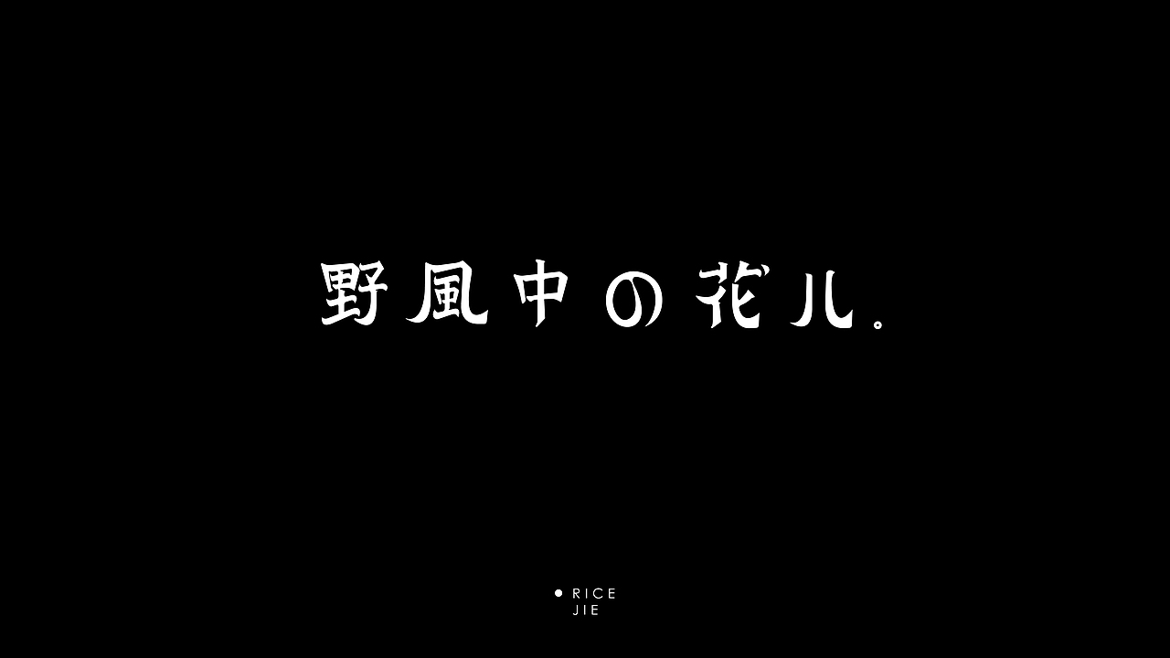 一些字体