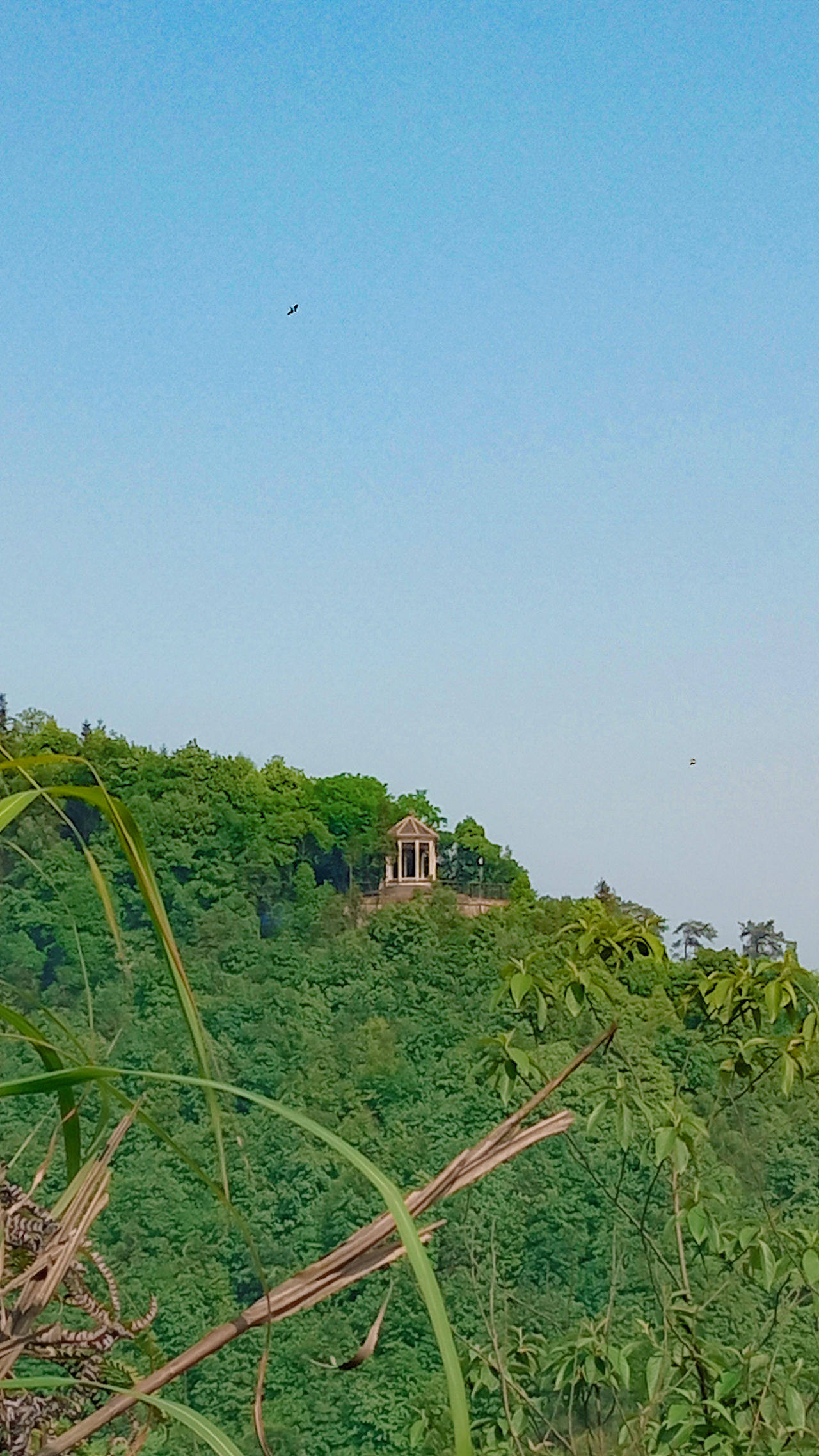 山城爬山记录