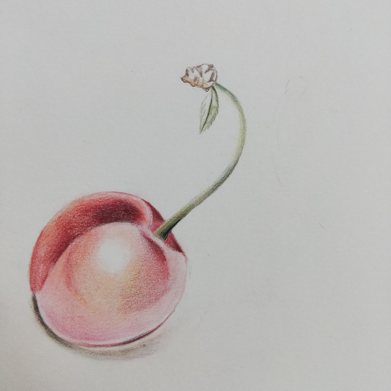 继续刻画,记住要留出高光