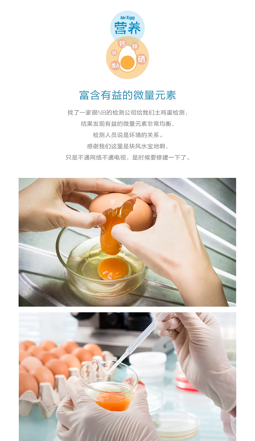 【新鲜在】建立品质认知,放弃传统视觉表现 — 蛋鲜生