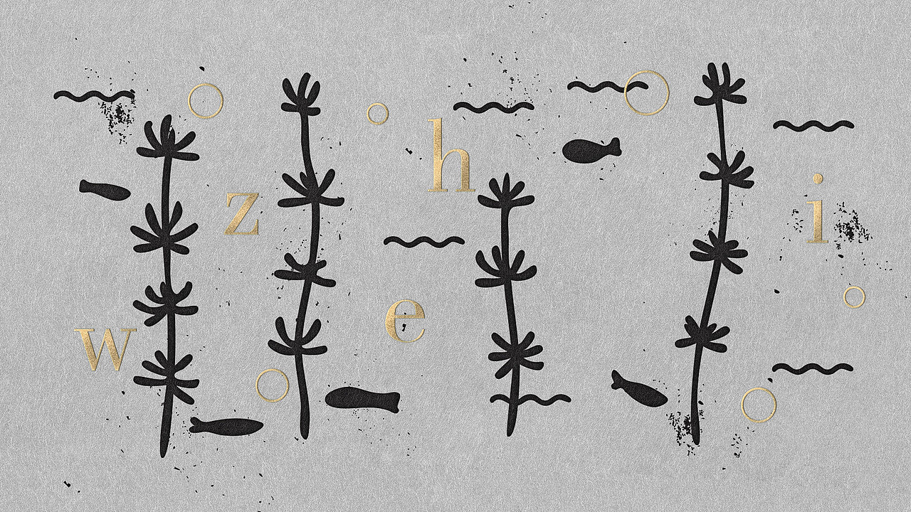 金锋青品牌设计有限公司/作品集