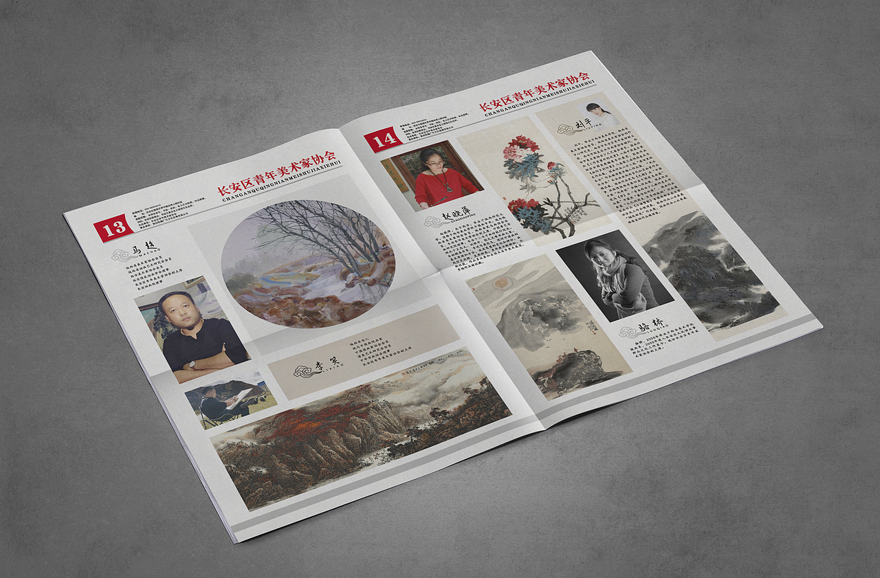 美术协会宣传册/刊物/画册/报纸