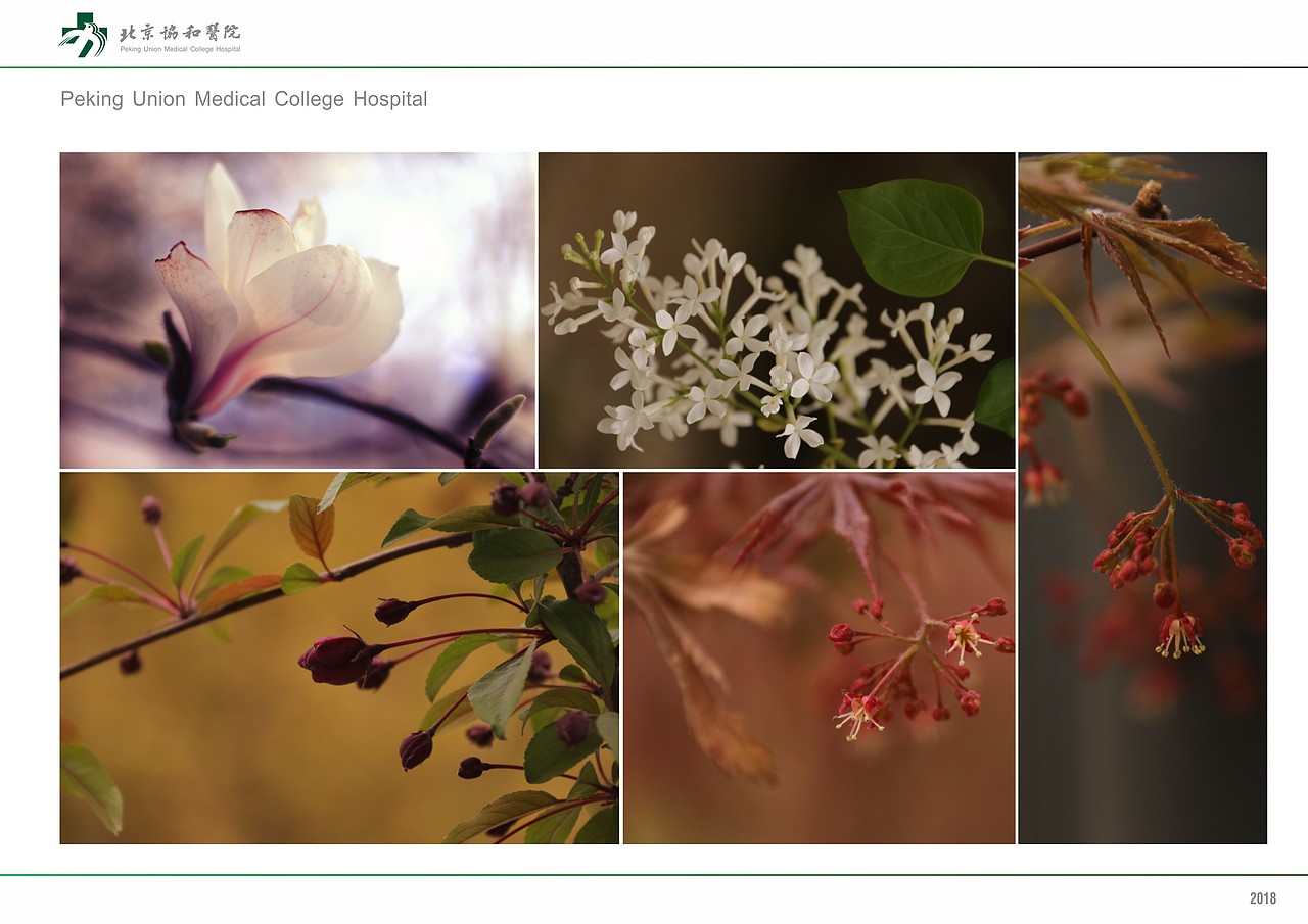 北京协和医院导视系统