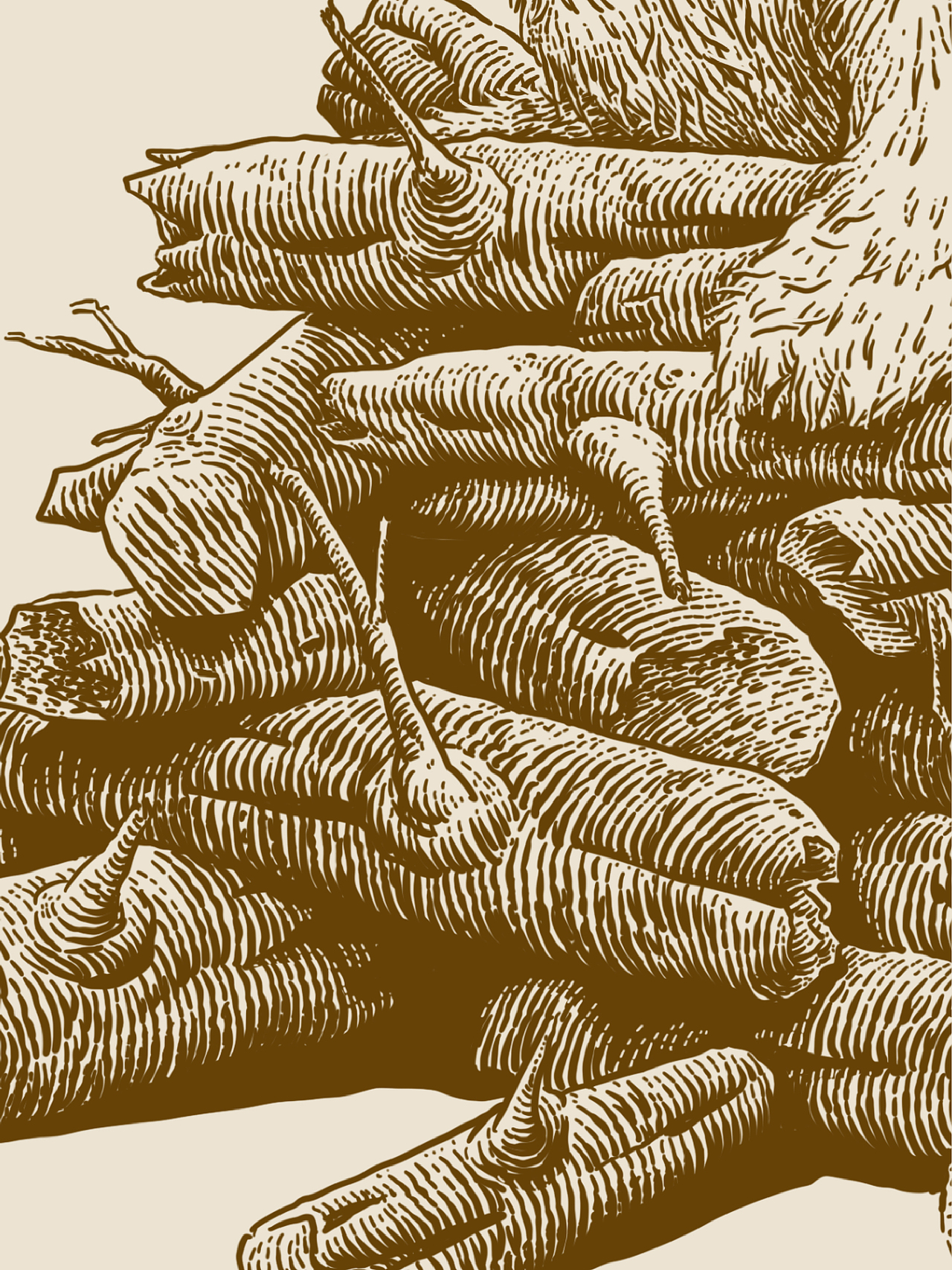 原创插画｜木棍收集器（图ZMjgwMzAzMzQw） - 商业插画 - 站酷设计师花椒的Alex原创素材 - 站酷ZCOOL