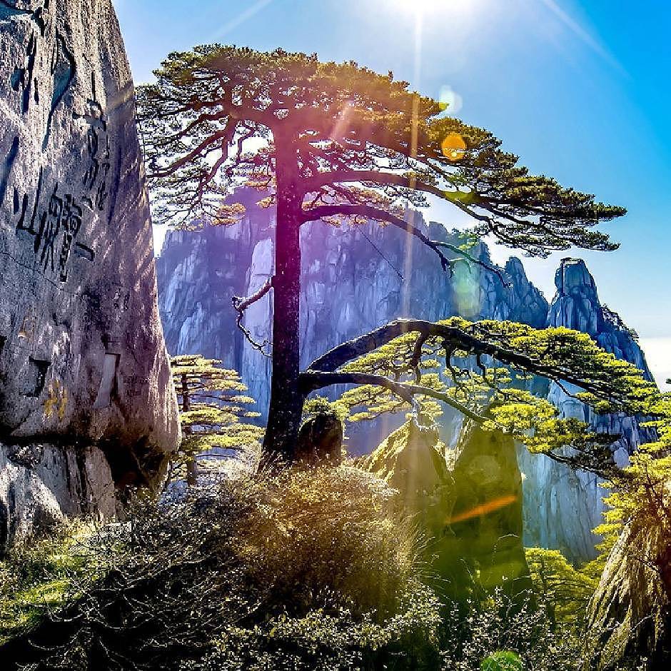 头像（图ZMzMyODc5NDI4） - 其他平面 - 站酷设计师金秋设计旗舰店原创素材 - 站酷ZCOOL