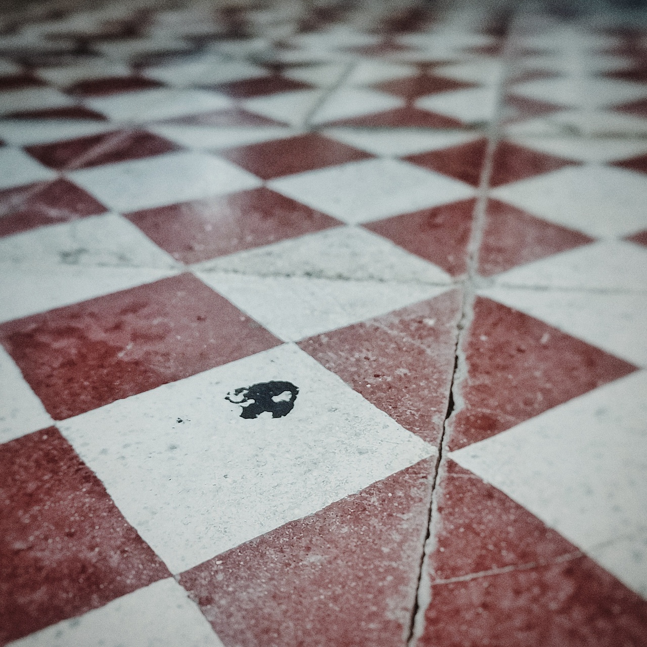 行摄广东唯一一处世界文化遗产开平碉楼