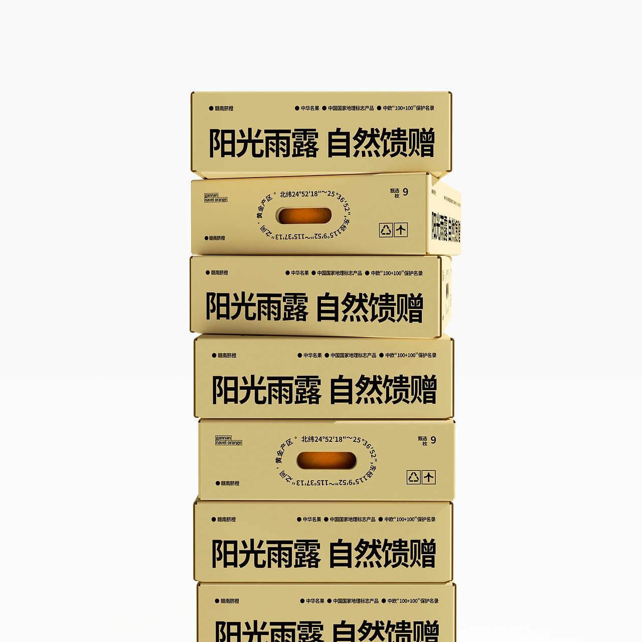 赣南脐橙丨水果包装设计 ASUO DesignOffice©