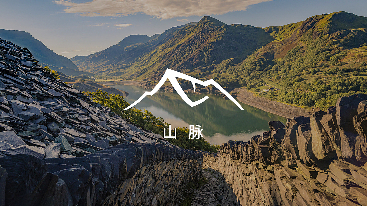 山谷里的2025项目提案