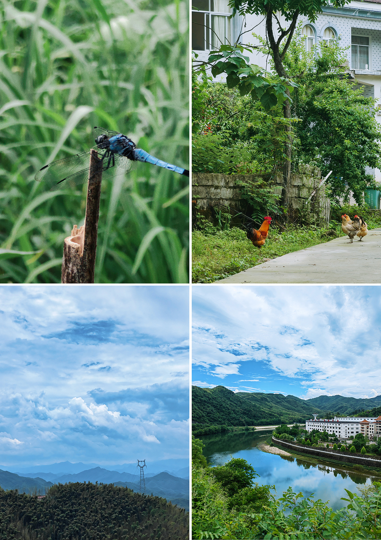 小梦的随手拍-第4期（图ZMzIwMDQ3NjQ0） - 风光摄影 - 站酷设计师梦梦小梦12原创素材 - 站酷ZCOOL