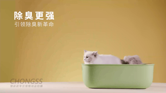 宠物产品摄影|宠叔叔 X N1猫砂