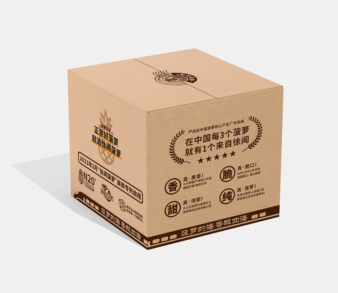 正本设计|菠萝的海 产品包装设计