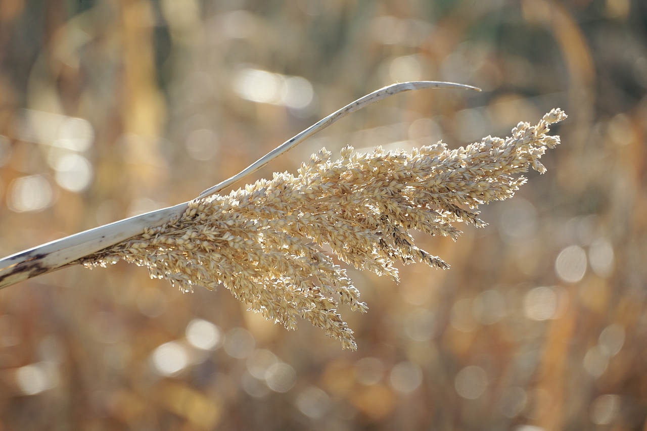 与 光 同 尘（图ZMzYwNjg2NTY4） - 风光摄影 - 站酷设计师程小灰啊原创素材 - 站酷ZCOOL