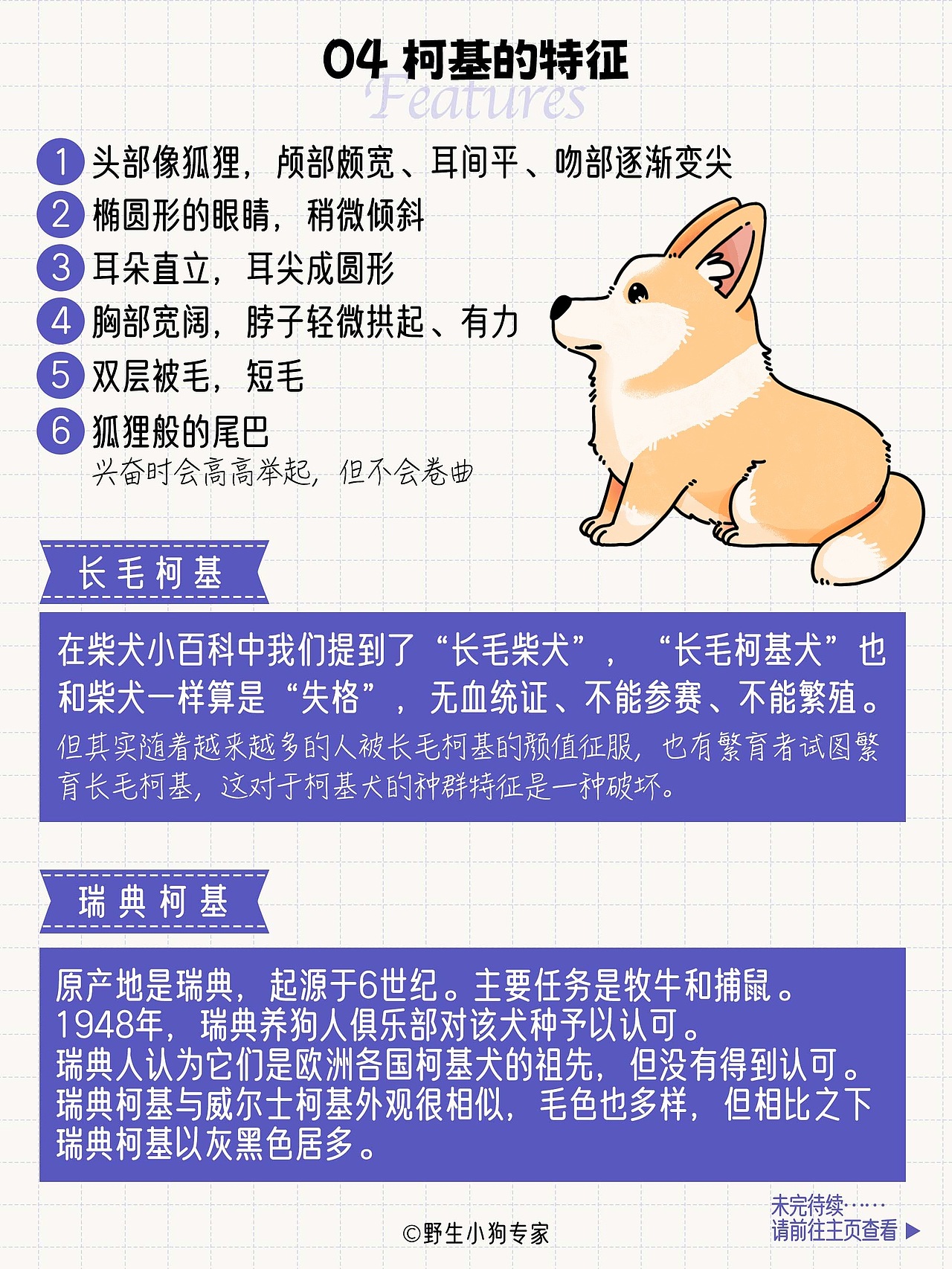 柯基犬小百科：女王与小短腿的故事（图ZMzE3MDc1MDI4） - 短篇/格漫 - 站酷设计师北北北辰beichen原创素材 - 站酷ZCOOL