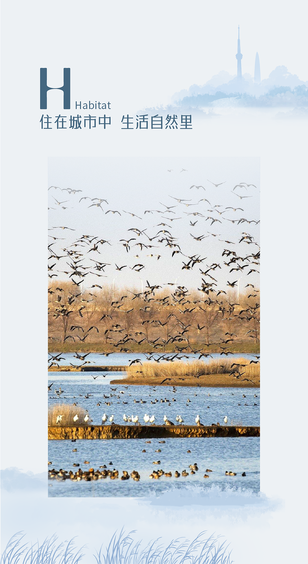 我爱汉水×璞梵 共同守护天使的微笑（图ZMzM1NzYyNjYw） - 包装 - 站酷设计师璞梵PUFINE原创素材 - 站酷ZCOOL