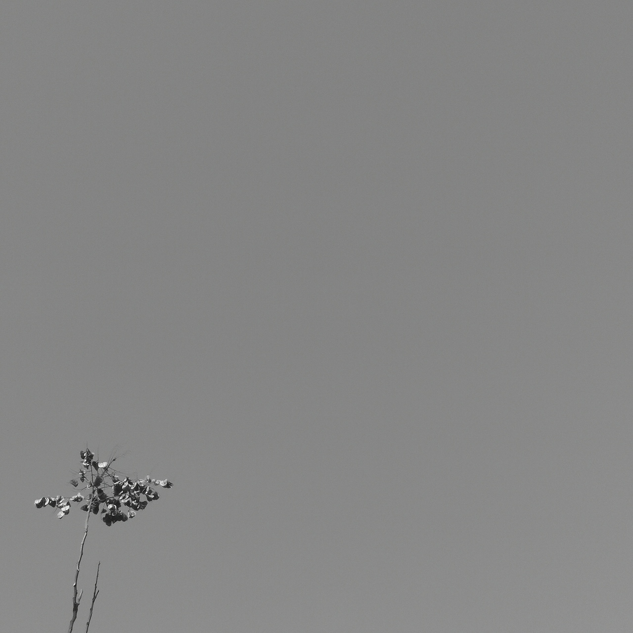 《湖美的灰色系》-摄影