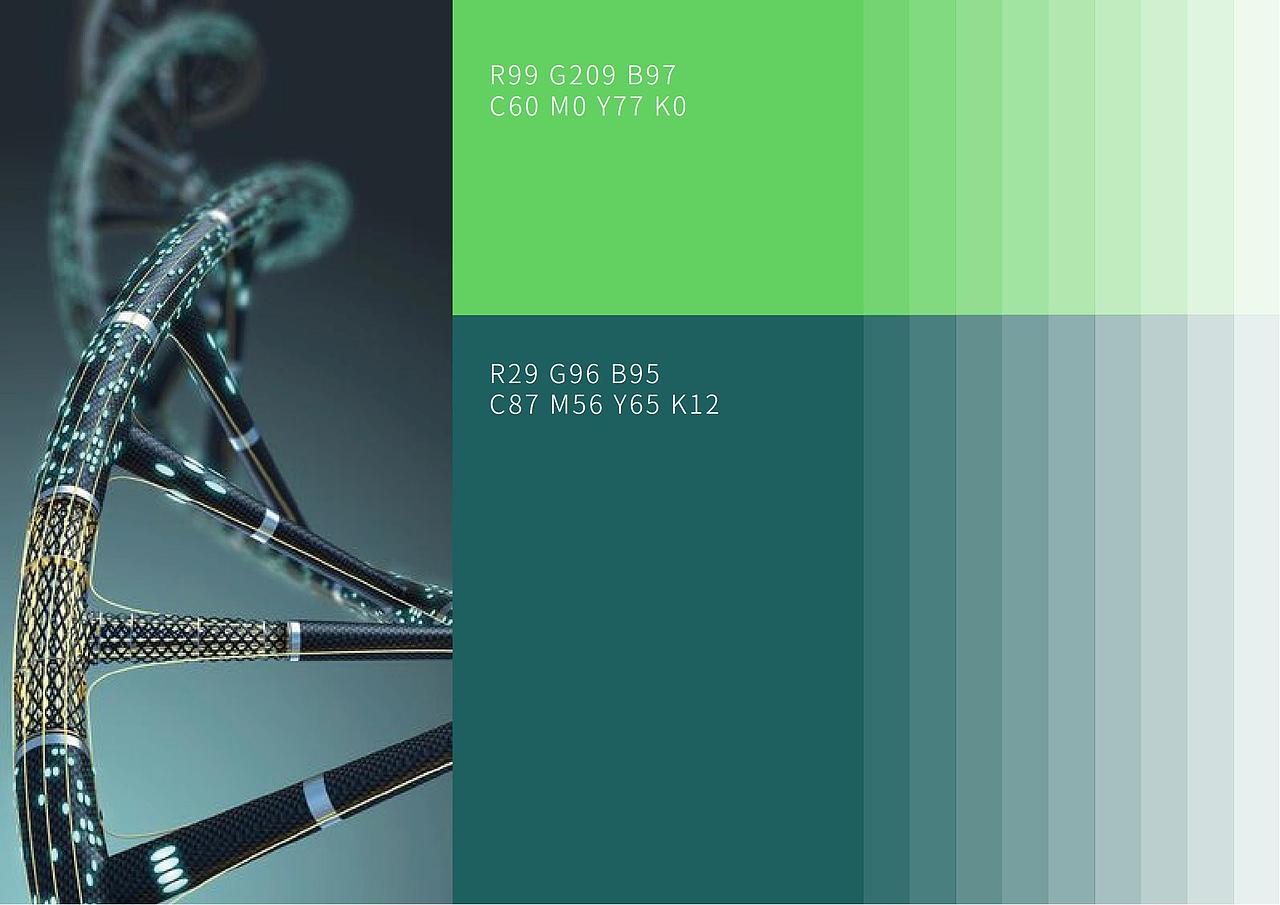 BSD原创设计 | 生之源股份品牌设计升级