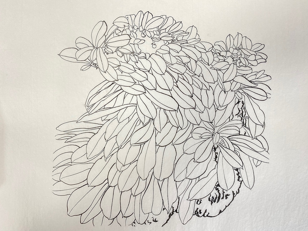 白描（图ZMzM2MjM1OTE2） - 绘画 - 站酷设计师章红红原创素材 - 站酷ZCOOL