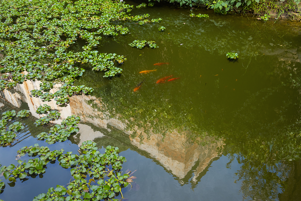 一个人的旅行-婺源篁岭（图ZMzIwNDU1NjIw） - 风光摄影 - 站酷设计师文艺田原创素材 - 站酷ZCOOL