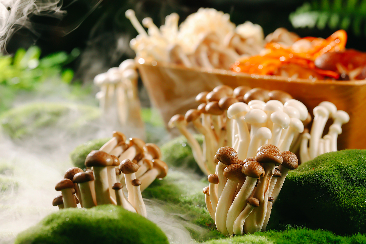 北京美食摄影上门拍摄丨菜品拍照丨海鲜姿造丨糟粕醋