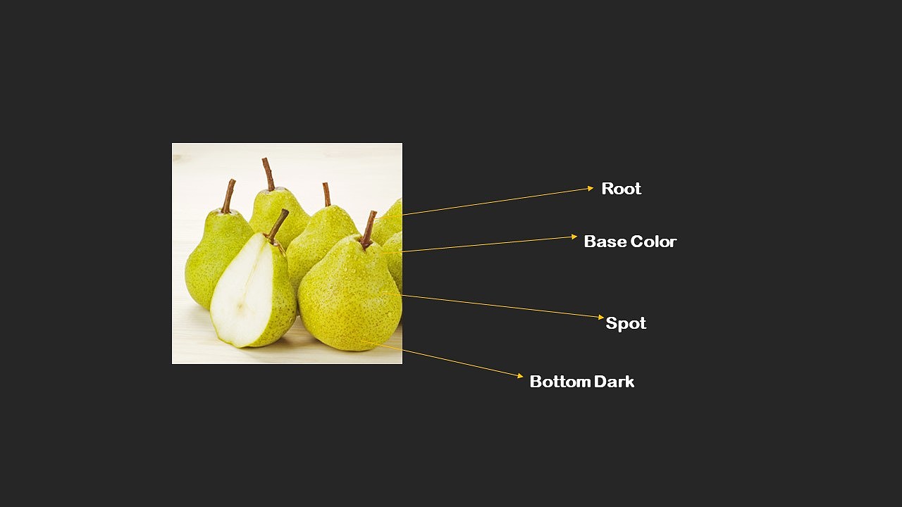 Aesthetic of Decay 杂七杂八图库