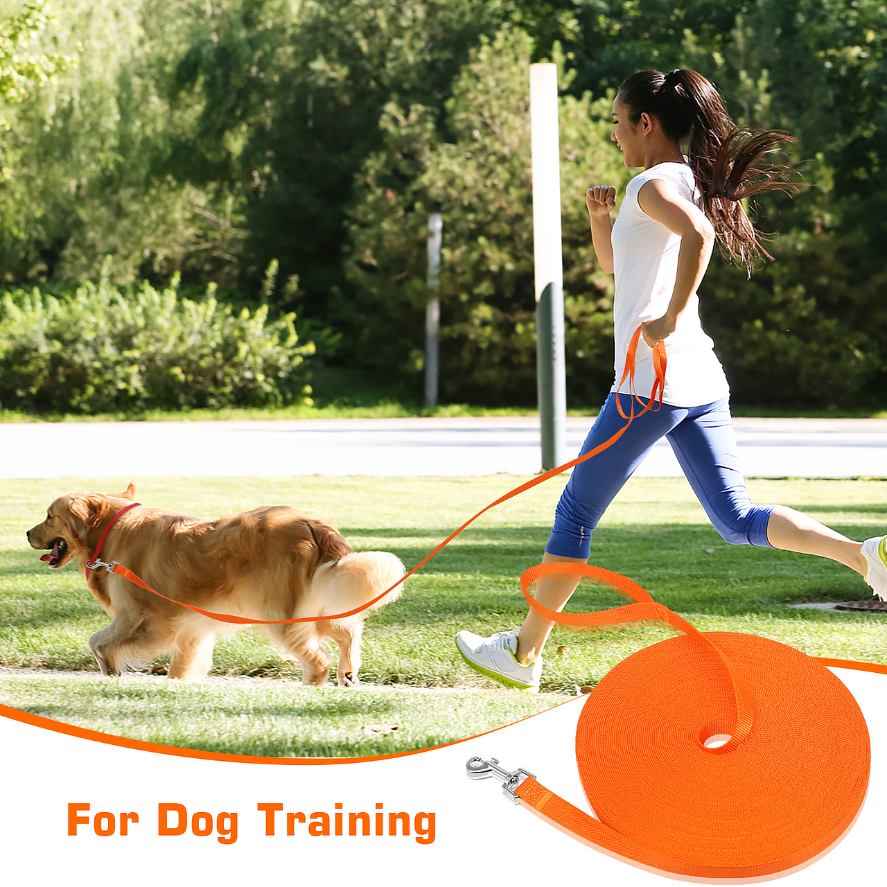 亚马逊产品-狗绳