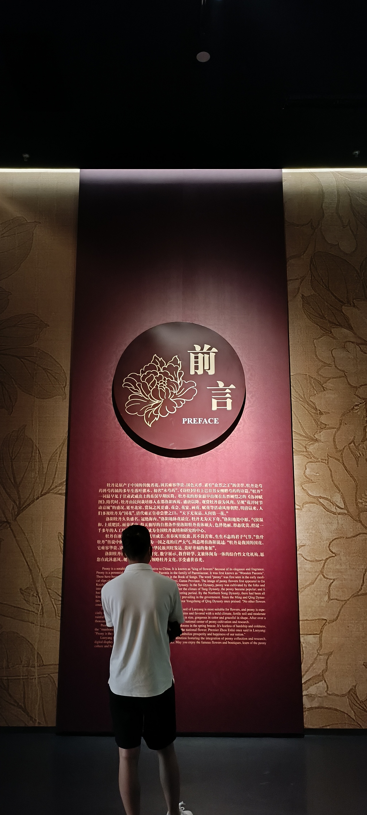 洛阳牡丹博物馆