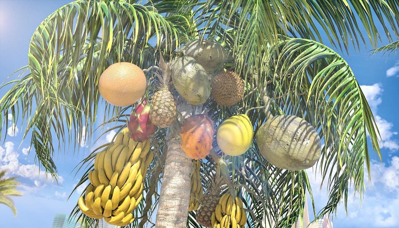 2023CIIE 第六届进博会开幕动画（图ZMzU2NDQ5OTg0） - 动画/影视 - 站酷设计师快乐星球VFX原创素材 - 站酷ZCOOL