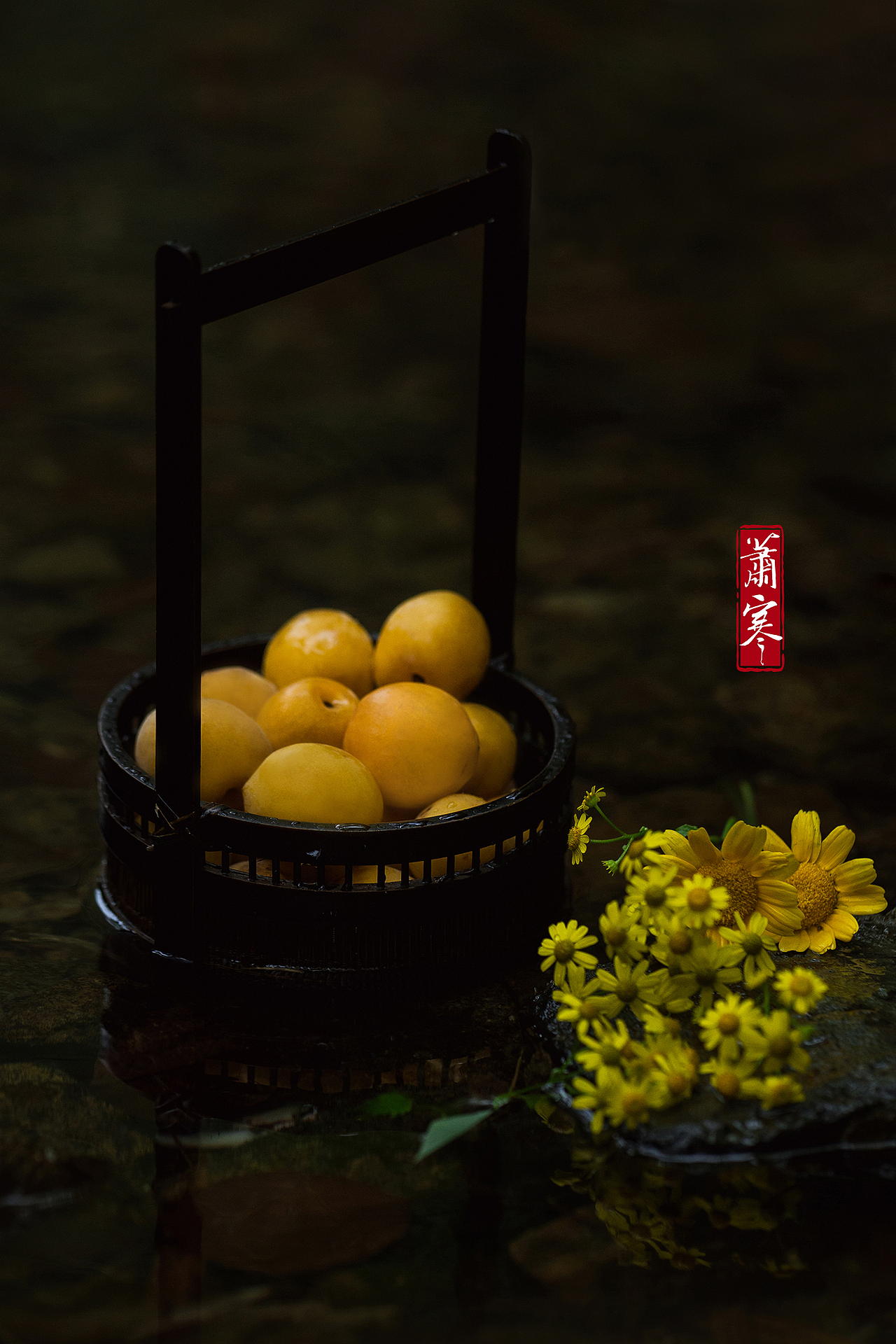 闲野 | 初夏轻黄小小花