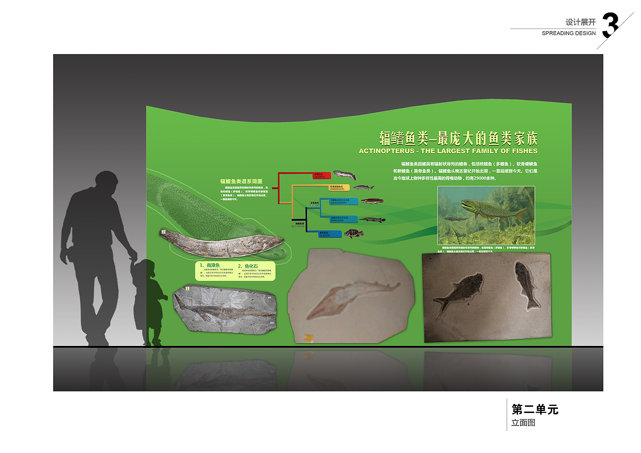 海洋展厅立面展示