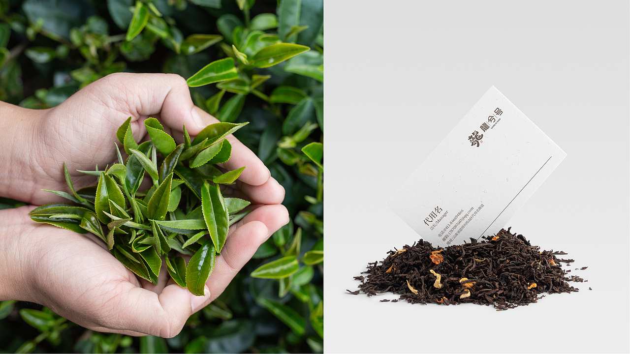 茶叶品牌形象设计（图ZMzAyNzY5NDM2） - 品牌 - 站酷设计师宁波阿辉设计原创素材 - 站酷ZCOOL