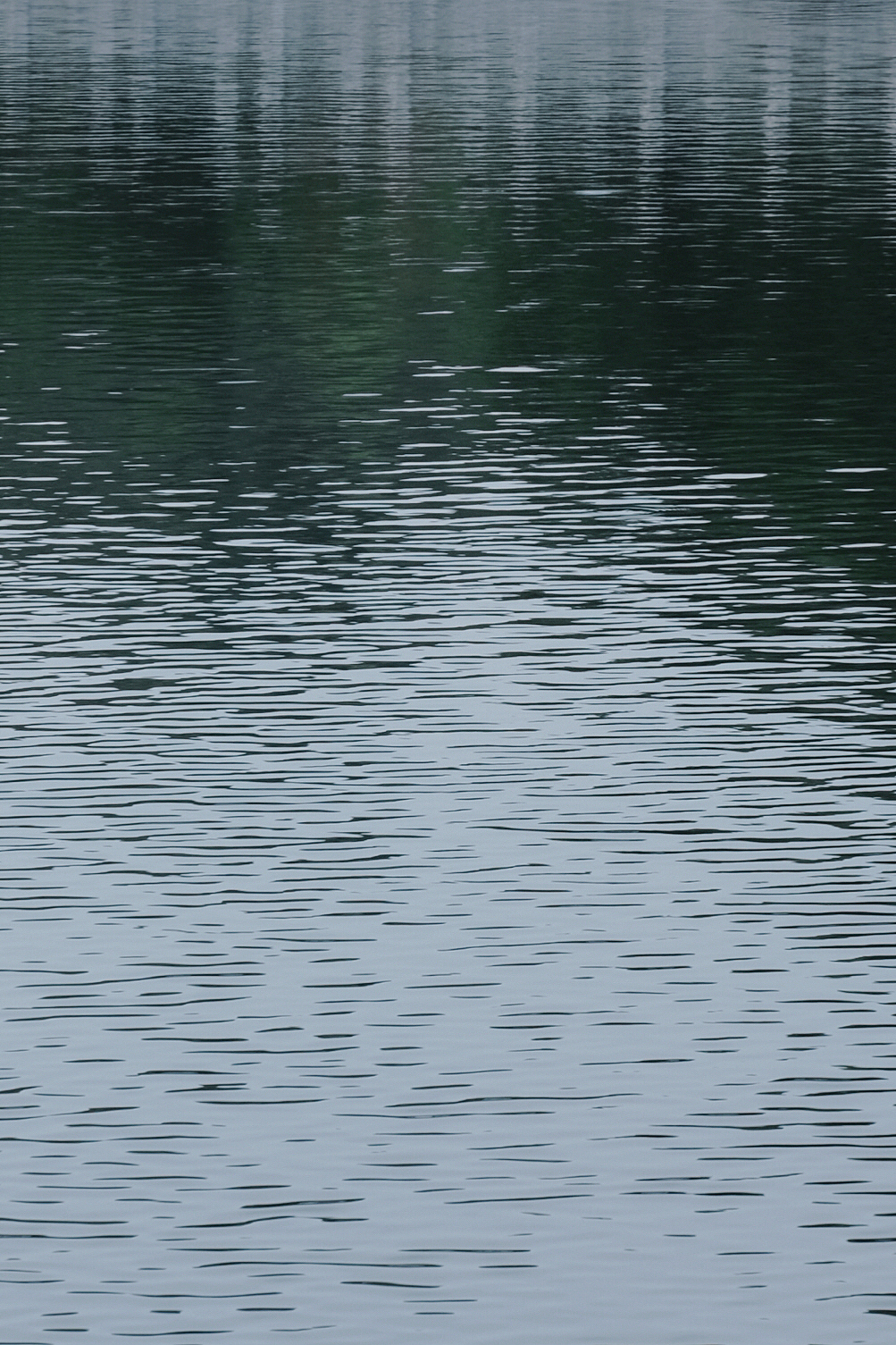 森系少女（圖ZMzEzNjcyNjE2） - 人像攝影 - 站酷設(shè)計(jì)師林生菜原創(chuàng)素材 - 站酷ZCOOL