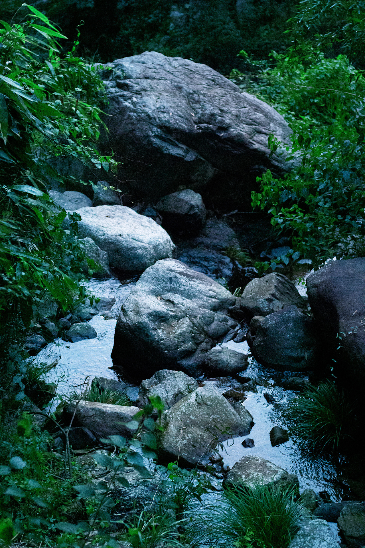 元气森林#创作加油站#（图ZMzEyNjY3NDg4） - 产品摄影 - 站酷设计师摄影师大柴狗原创素材 - 站酷ZCOOL