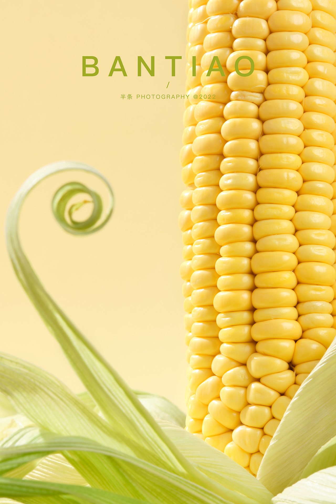 静物摄影丨玉米99