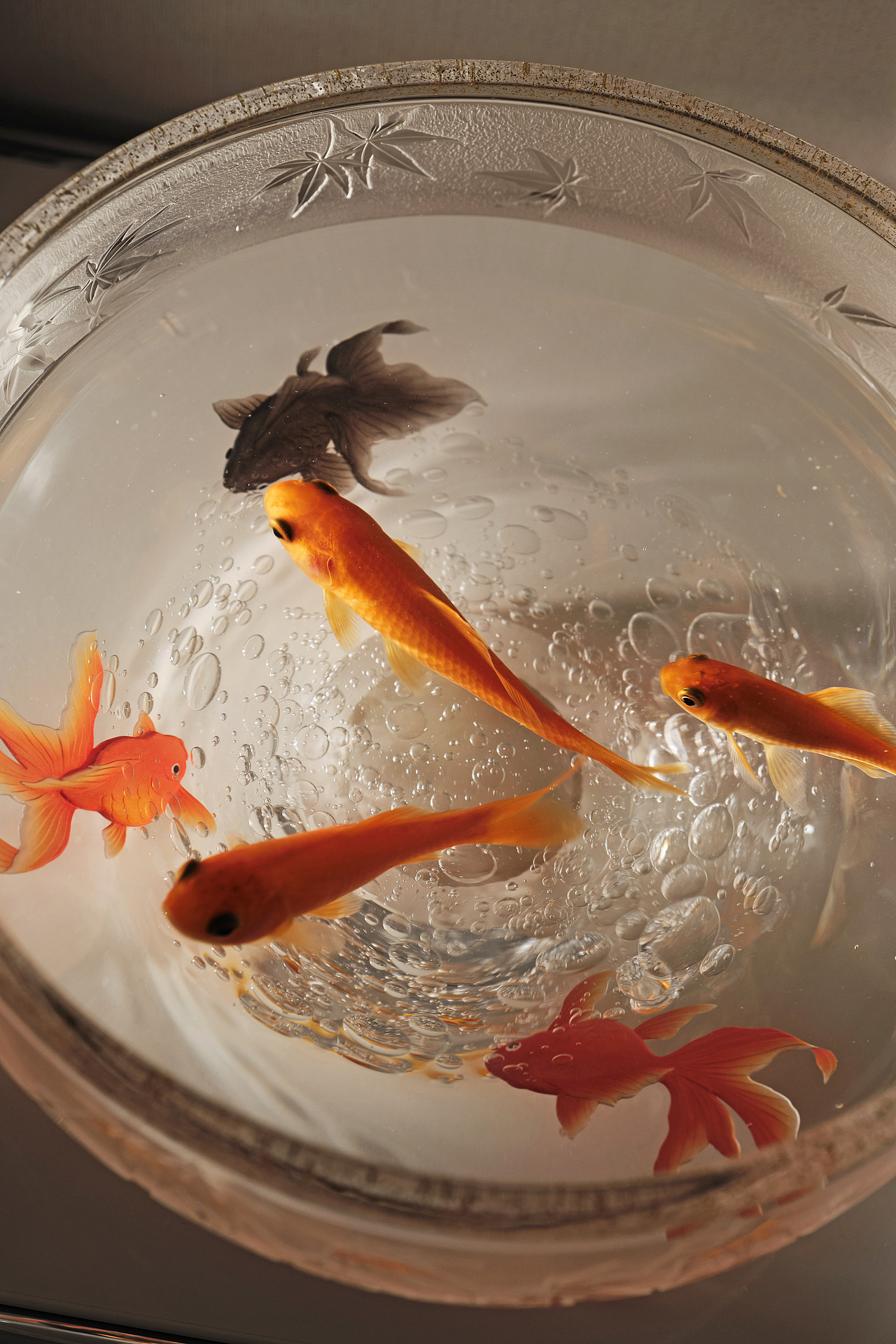 DoLong董龍设计全案实景 「言笑晏晏」（图ZMzU0Njg4MzQ4） - 家装设计 - 站酷设计师南京董龙设计原创素材 - 站酷ZCOOL