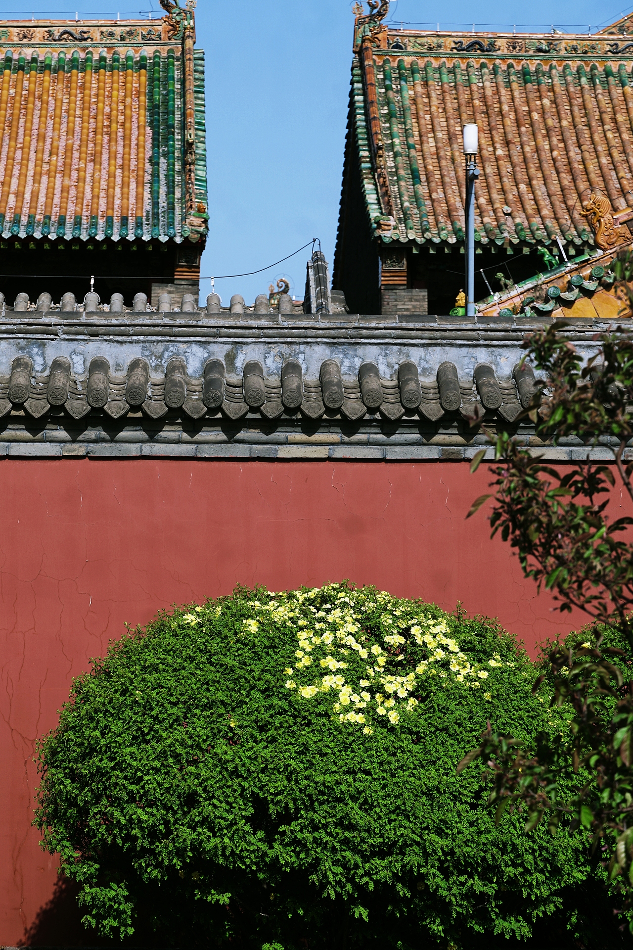 春天的盛京(沈阳)故宫